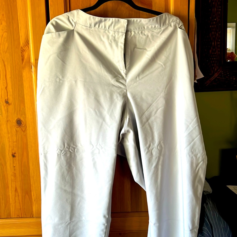 Dress pants